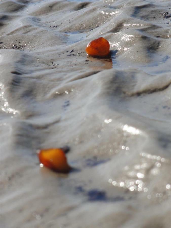 Dietrichs Wentzelhof Sankt Peter-Ording Exterior foto